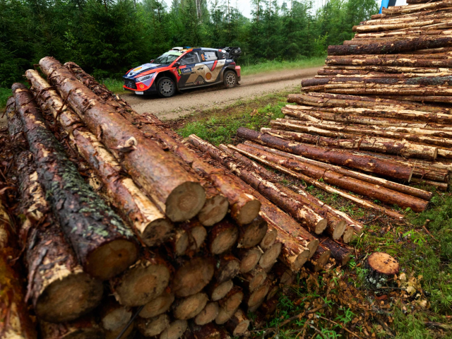Hyundai Motorsport a avut doua echipaje pe podium in Raliul Estoniei - a42e35ff-8e6b-190a-9024-c1f556832f82.jpg