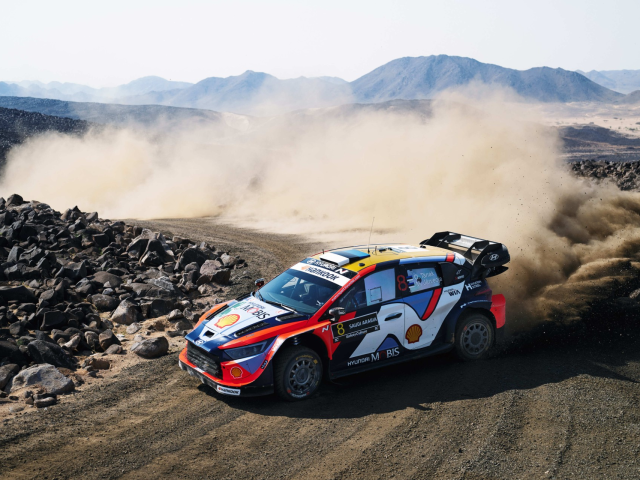 Hyundai Motorsport a incheiat sezonul 2025 cu o victorie in Raliul Arabiei Saudite - cfc97dcb-af43-59c2-def6-5e4133d5a18a.jpg