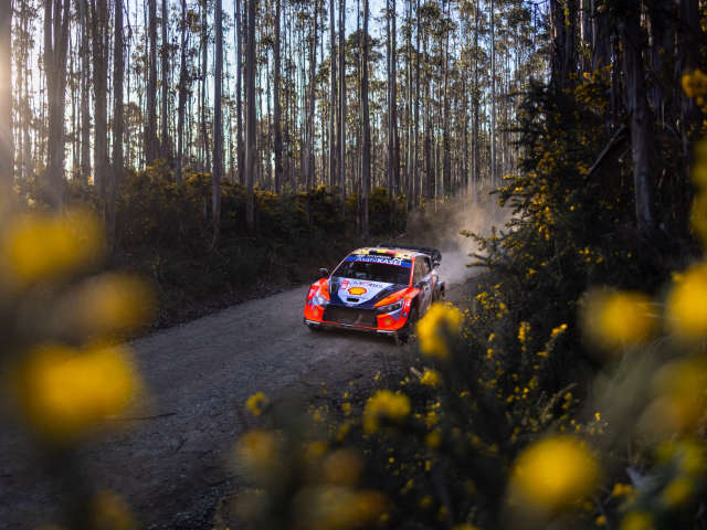 Podium pentru Hyundai Motorsport si in Rally Chile - 2bee5c02-97a9-9fb8-3d7e-52c099c4426e.jpg