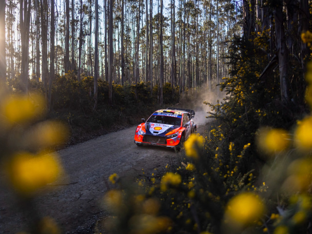 Podium pentru Hyundai Motorsport si in Rally Chile - 2bee5c02-97a9-9fb8-3d7e-52c099c4426e.jpg