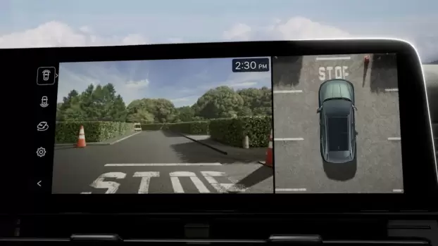 Sistem de monitorizare 360° (SVM).