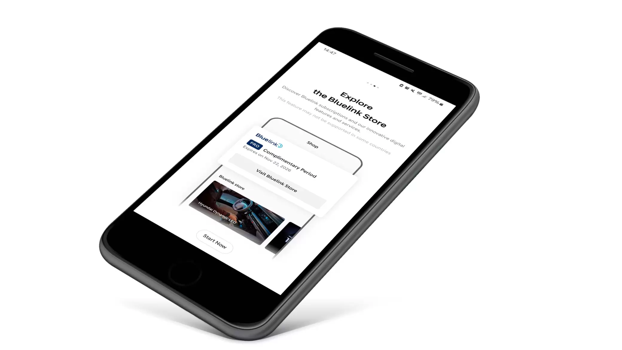 Bluelink Connected Car Services.