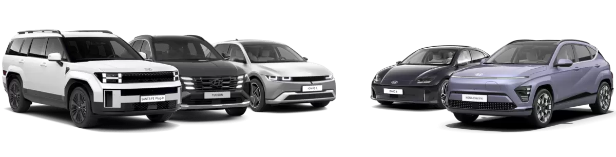 Modele 2024 si ulterioare.