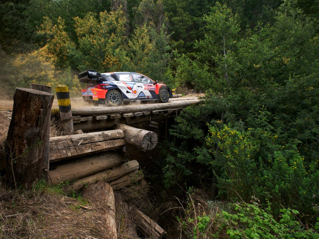 Podium pentru Hyundai Motorsport in Rally Chile - 002aab48-03d8-3e9d-9836-9e9ff3a0952e.jpg