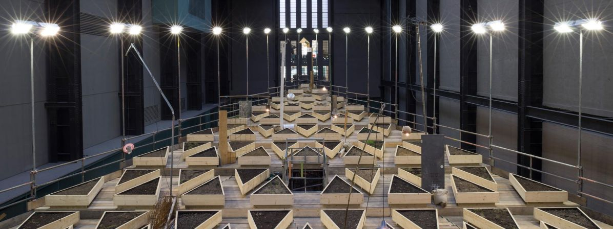 Parteneriatul Hyundai – Tate Modern ofera noi oportunitati artistilor