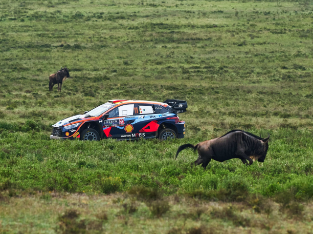 Hyundai Motorsport a incheiat Raliul Safari cu doua echipaje in top 10 - 2b48009b-4c3d-330d-6e25-286b22343f30.jpg