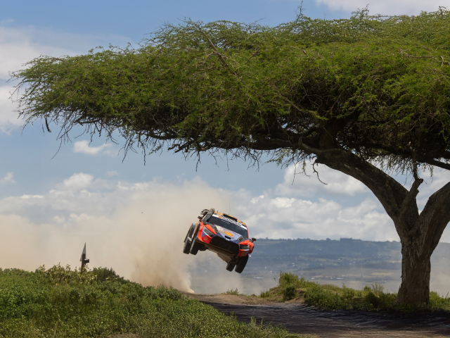 Hyundai Motorsport a terminat Raliul Safari cu doua echipaje pe podium - 8d5d8315-f7eb-9776-caca-a9da344d6d8a.jpg