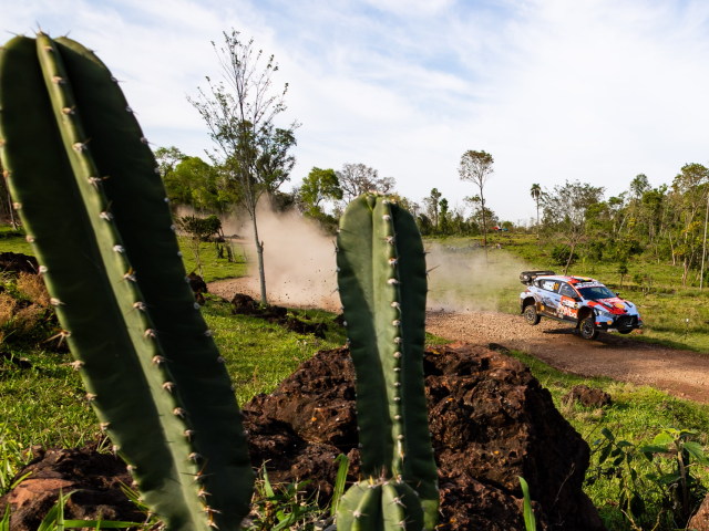 Hyundai Motorsport a avut doua echipaje pe podum in Raliul Paraguayului - 99b2ec82-e46c-f913-60c8-199959a22f21.jpg