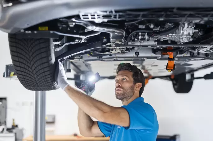 Ingrijirea vehiculului.