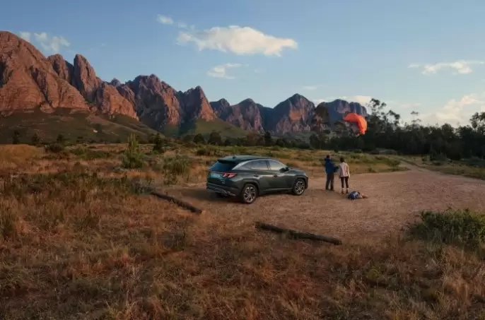 Actualizari Over-the-Air (OTA).